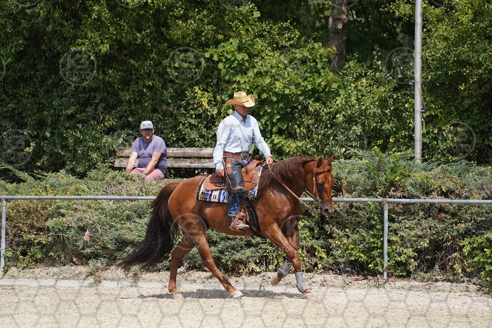 A7_02951.JPG